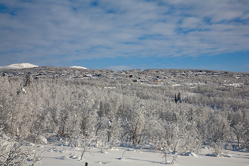 Hyttefelt like ovenfor Beitostølen sett fra løypenettet nedenfor rv 51.