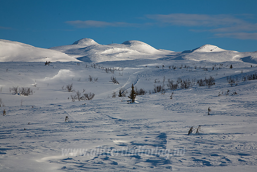 På tur til Spåtinden fra Lenningen en vinterdag. Masta på toppen kan skimtes litt baki der.