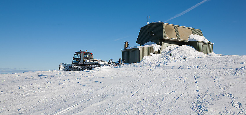 Løypemaskin på toppen av Spåtinden (1414 moh). Det er ikke så mange andre steder i Norge hvor løypemaskinene legger spor høyere.