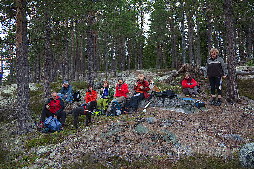 Valdres Tur og Fjellsportlag på tur til Puttekollen i Sør-Aurdal