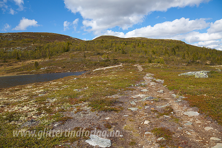 På tur til Gravfjellet nær Yddin i Øystre Slidre.