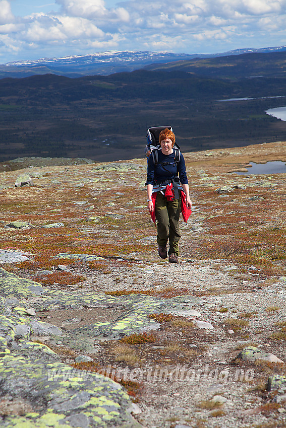 På vei mot Gravfjellet i Øystre Slidre.