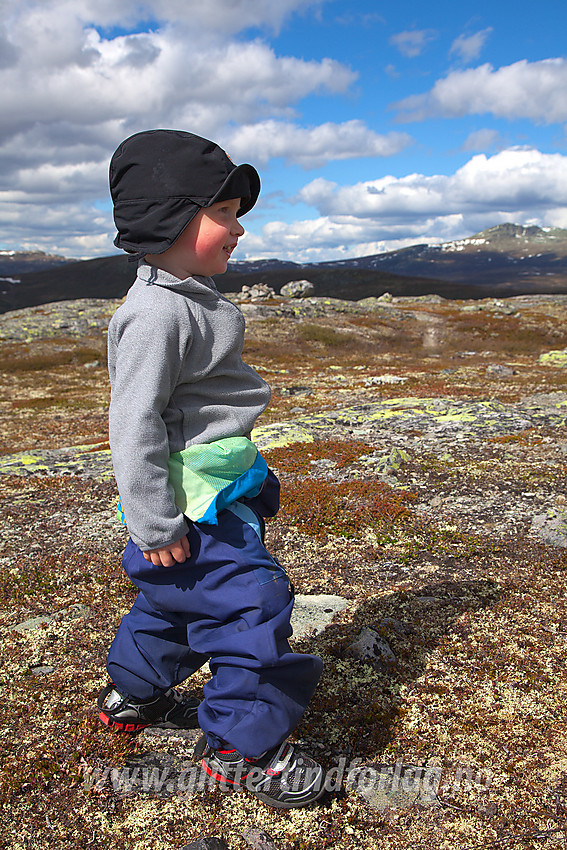 Ung fjellvandrer på toppen av Gravfjellet i Øystre Slidre.