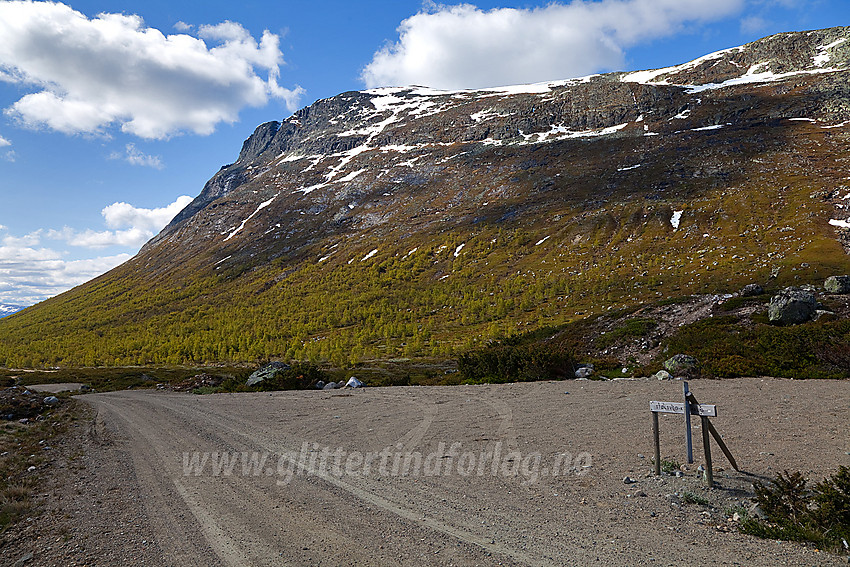 Ved parkeringen like nedenfor Sanddalsstølene i Sanddalen med Skutshorn (1630 moh) i bakgrunnen. Denne parkeringen er utganspunkt for delvis merket rute til toppen.