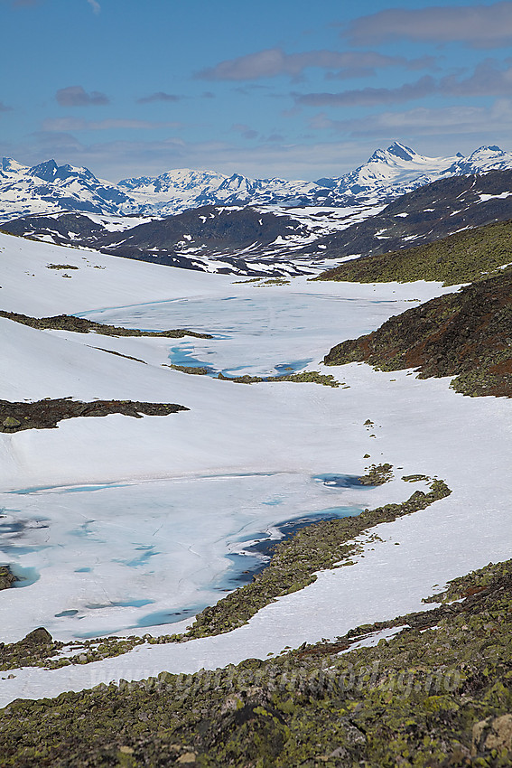 På toppen av Skutshorn mot Nordlandstjernet med Jotunheimen i bakgrunnen.