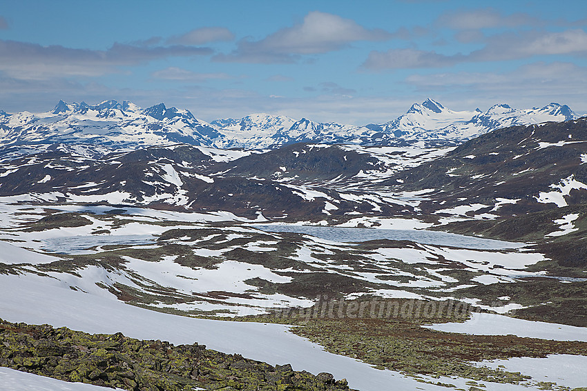 Utsikt fra Skutshornfjellet mot Jotunheimen.