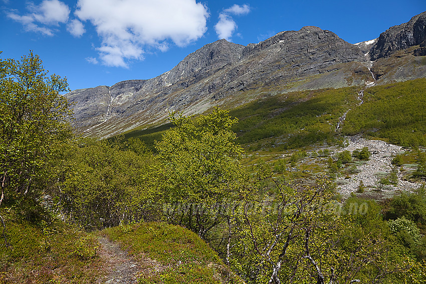 I Sanddalen med Vennisfjellmassivet på andre siden av dalen.