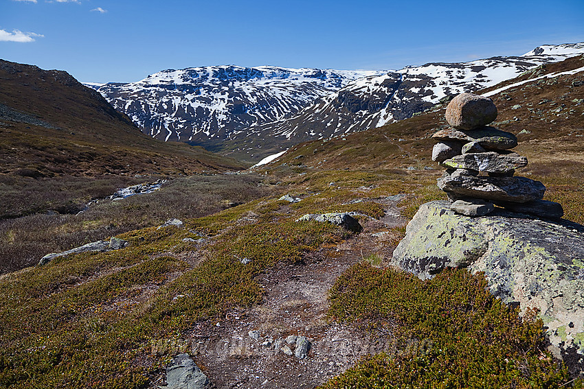 På stien fra Skakadalen mot Skjøld med utsikt nedover mot Skakadalen med Øyre (1674 moh) i bakgrunnen.