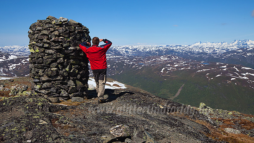 På Skjøld (1577 moh) i Vang med flott utsikt nordover mot Jotunheimen.