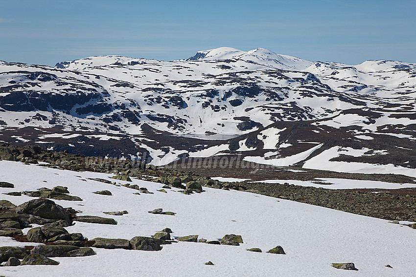 Fra Bergsfjellet i Vang mot Høgeloft (1920 moh) i Hemsedal.