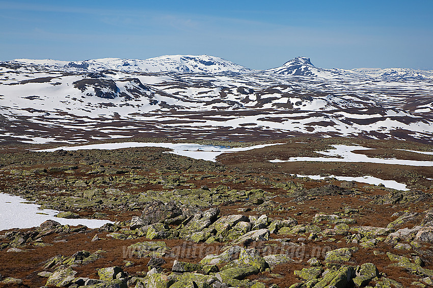 Fra Bergsfjellet i Vang mot Sulefjellet (1812 moh) og Suletinden (1780 moh).