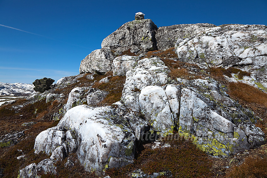 Hvitt fjell, brunt gress og blå himmel på Bergsfjellet like øst for Skjøld.