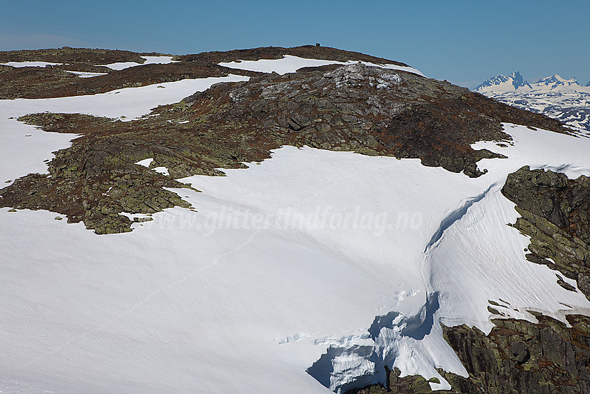 Toppen på Skjøld (1577 moh) sett fra øst.