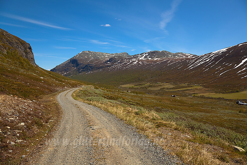 I Skakadalen med Storenibb og Grindane (1724 moh) i bakgrunnen.