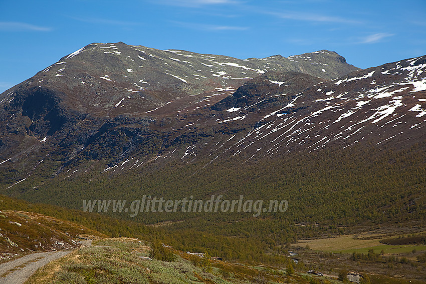 I Skakadalen i Vang mot Storenibb og Grindane (1724 moh bak til høyre).