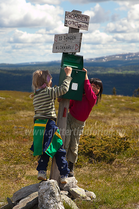 Den hang litt høyt den postkassa med boka i....Men vi gir oss ikke før vi får tak i den. På toppen av Goaren (1070 moh) i Etnedal.