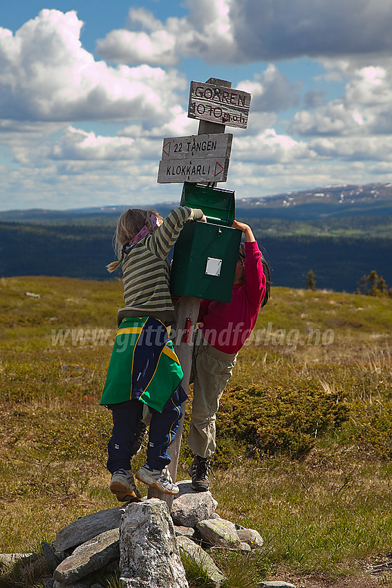 Den hang litt høyt den postkassa med boka i....Men vi gir oss ikke før vi får tak i den. På toppen av Goaren (1070 moh) i Etnedal.