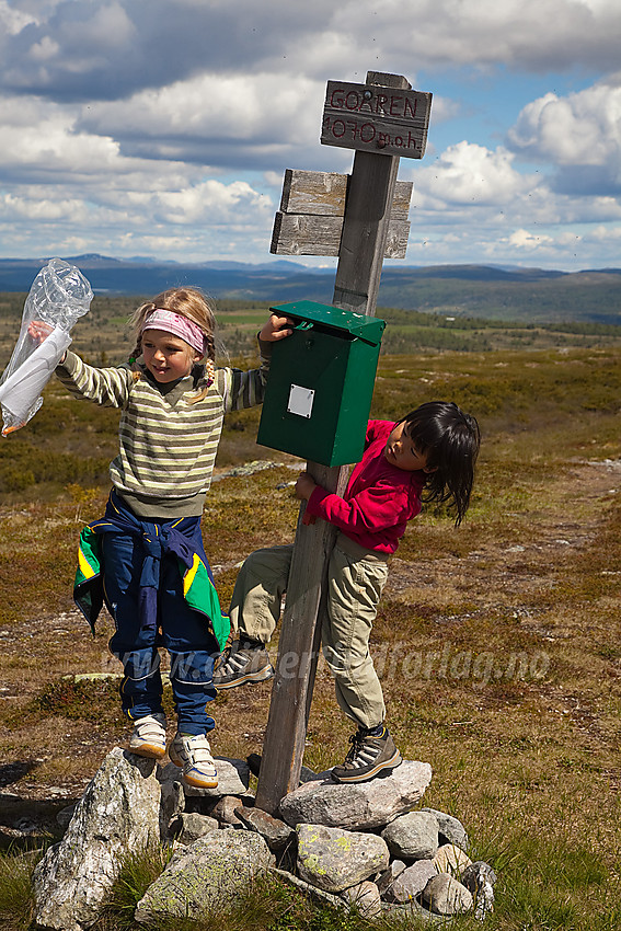 På toppen av Goaren (1070 moh) i Etnedal.