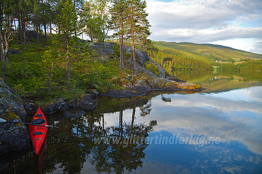 Landhugg på Augeimsøye i Slidrefjorden en tidlig sommermorgen.