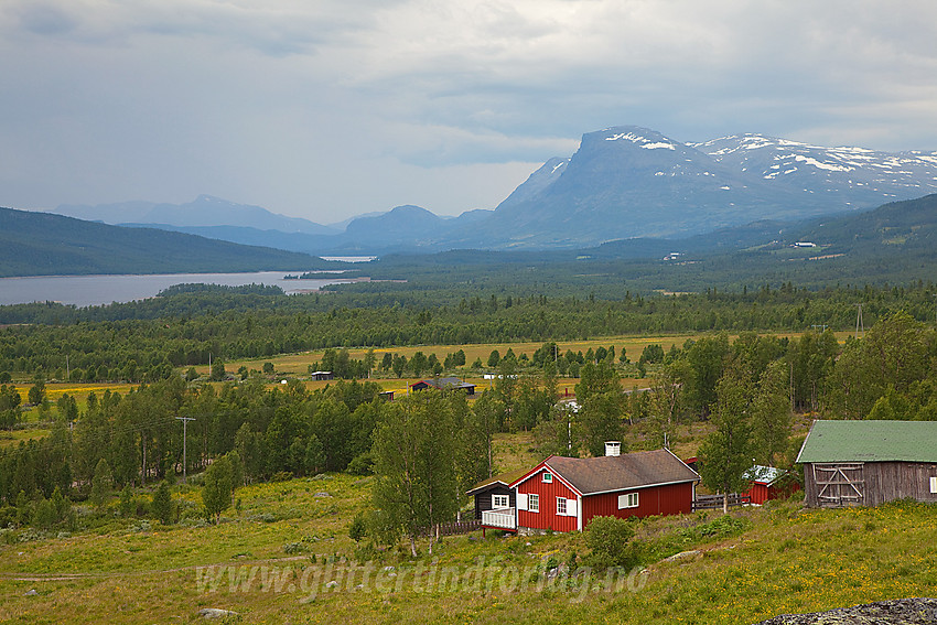 På Stølsvidda i Nord-Aurdal med Tisleifjorden og Skogshorn (1728 moh) i bakgrunnen.