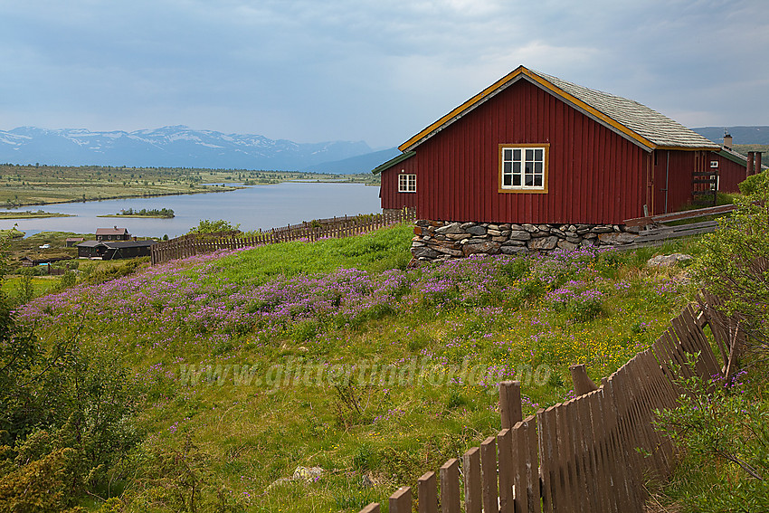 Ved Valtjednstølane i Nord-Aurdal.