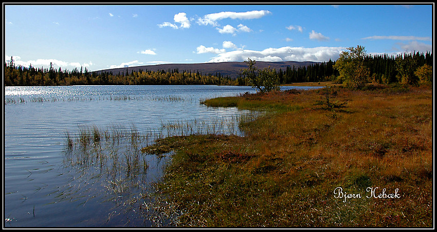 Høstdag ved Abbortjernet