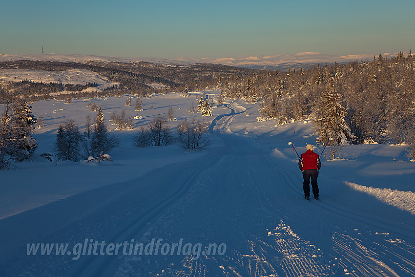 På vei ned mot Gomobu med Ålfjell (1137 moh) bak til venstre.