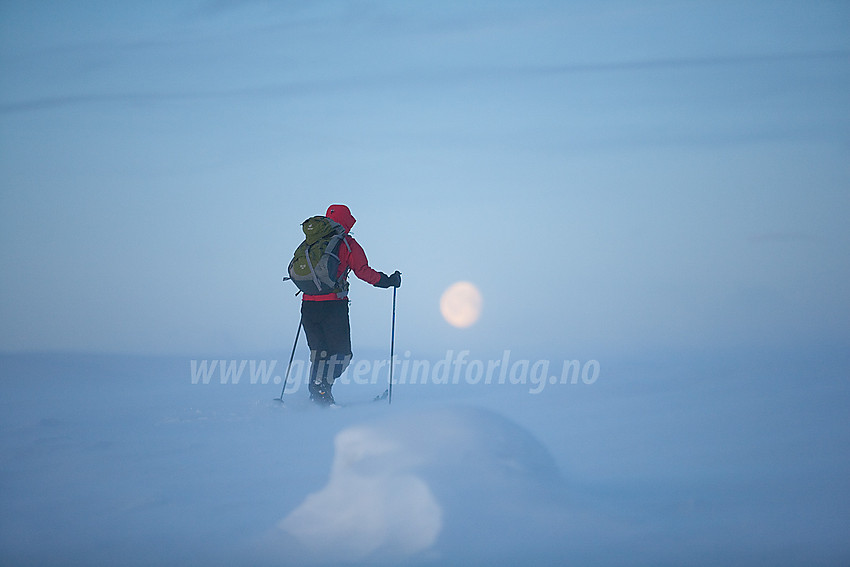 Skiløper på vei over Noseknipa på en januartur til Grønsennknipa.