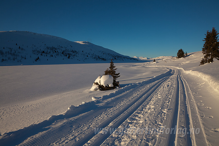 Ved Huldretjernet i løypenettet til Yddin og Janvlie løypelag med noen av Jotunheimens tinder i bakgrunnen og Kjølafjellet (1225 moh) til venstre.