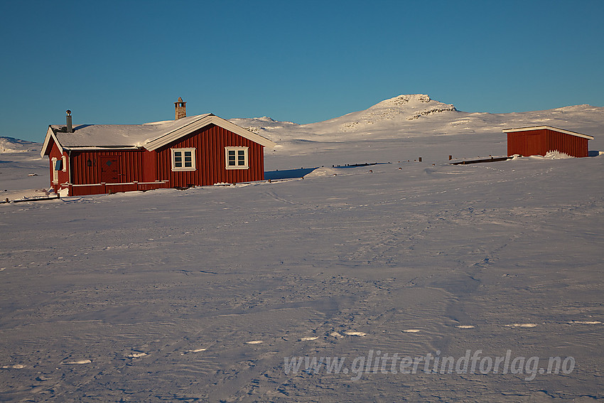 Fra løypenettet til Javnlie og Yddin løypelag med Svarthamaren (1471 moh) i bakgrunnen.