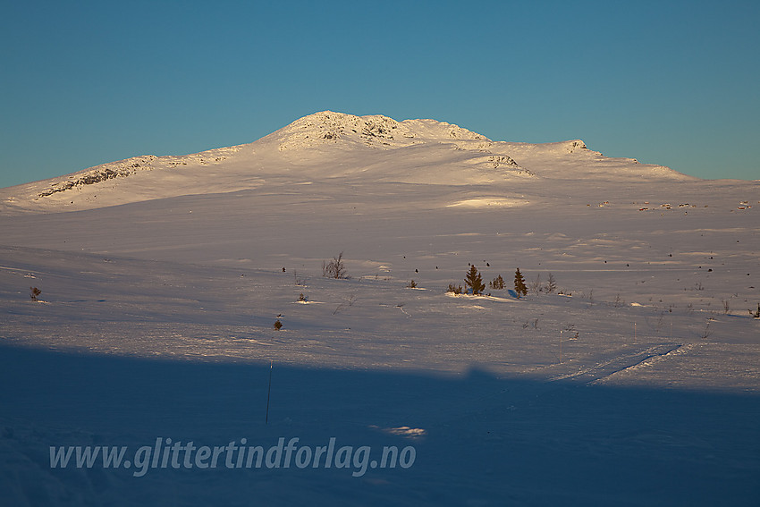 I løypenettet til Javnlie og Yddin løypelag mot Skaget (1686 moh).