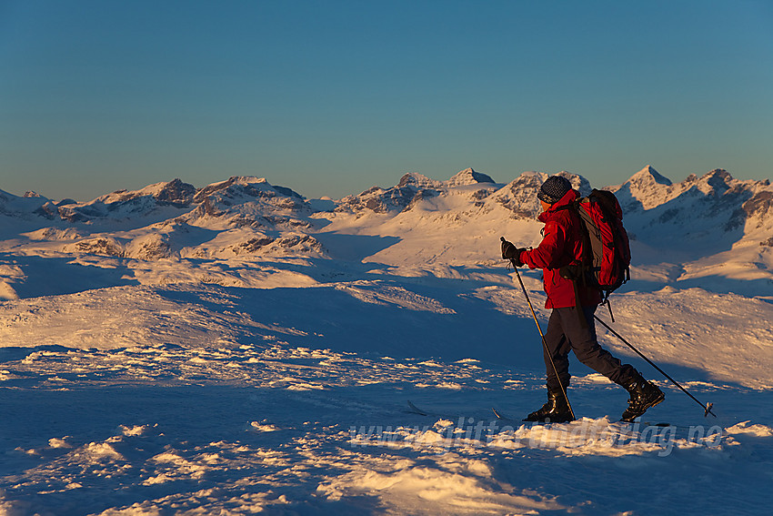 Skiløper på toppen av Mugnetinden (1737 moh) i Vang. Gjendealpene i Jotunheimen ses i bakgrunnen.