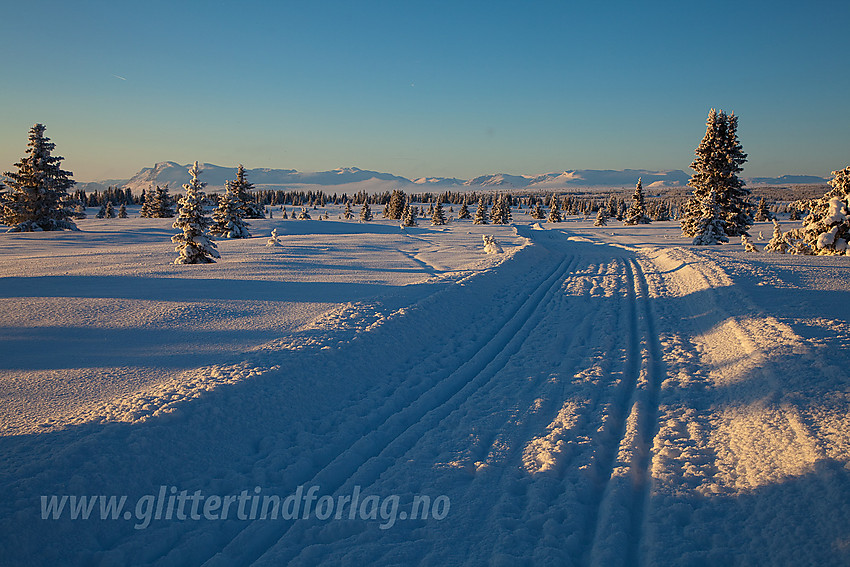 På Hermannshovda i løypenettet til Tisleidalen løypelag med bl.a. Skogshorn og Veslebottenskarvet bak til venstre.