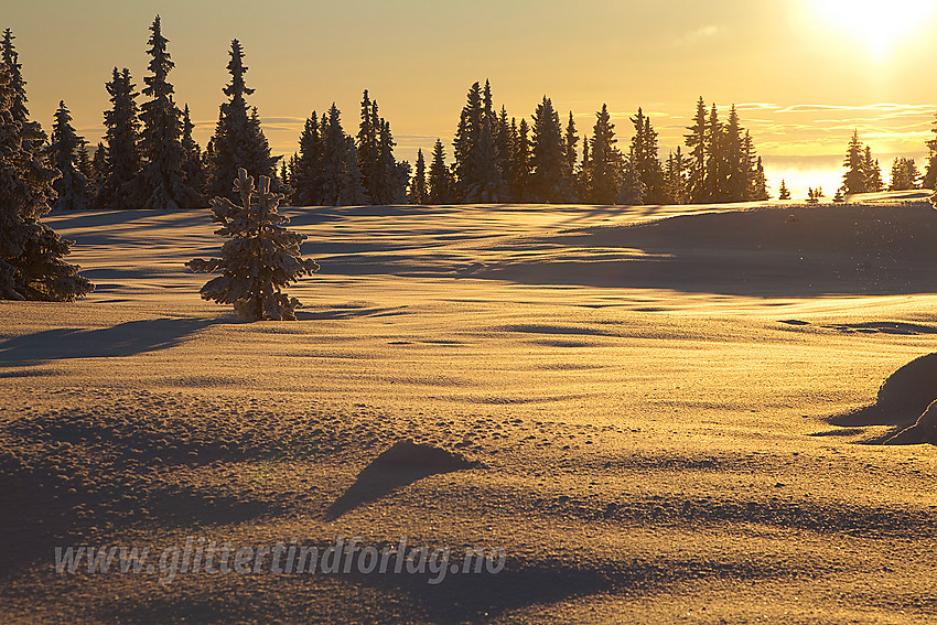 På Hermannshovda i Tisleidalen løypelag sitt løypenett.