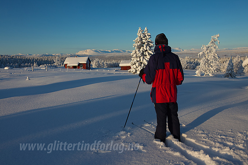 Ikke langt fra Hærvasstølen ved skiløypa fra Vasetdansen mot Hærevatnet. I bakgrunnen ses bl.a. Skogshorn.