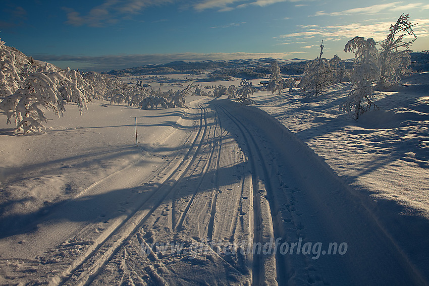 I løypenettet til Tisleidalen løypelag på høyda mellom Skutetjernet og Haugsjøen mot sistnevnte med Bjødalsfjellet (1154 moh) i Sør Aurdal i bakgrunnen.