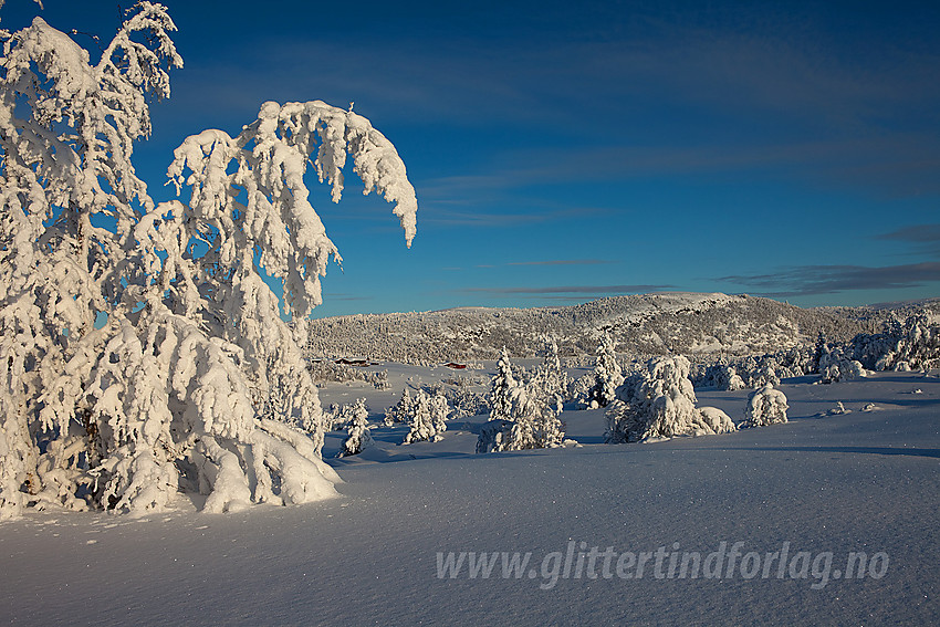 I løypenettet til Tisleidalen løypelag med Haugsjøfjellet (1090 moh) i bakgrunnen.