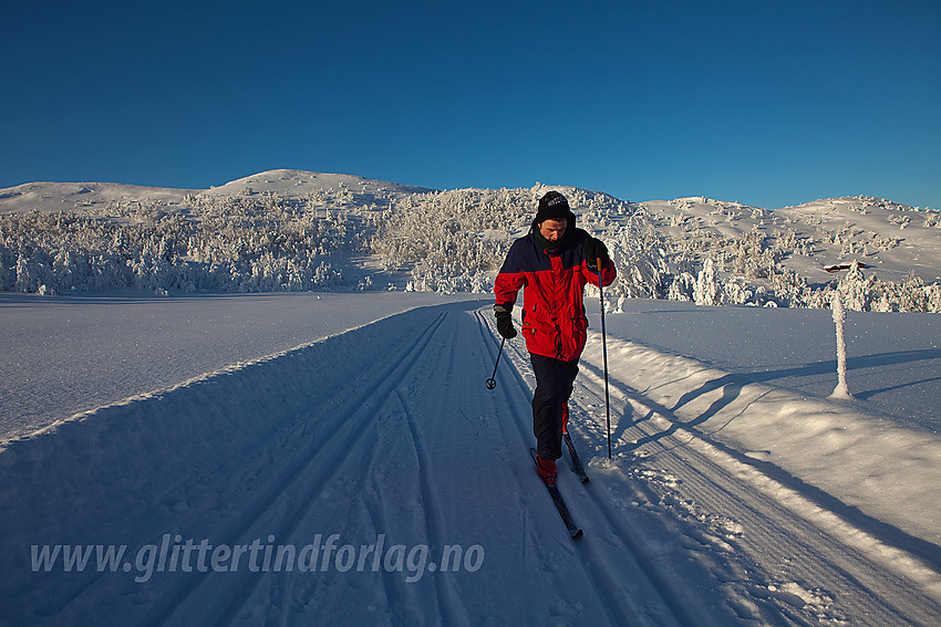 I løypenettet til Tisleidalen løypelag med Haugsetfjellet i bakgrunnen.