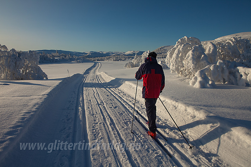 Drømmedag i løypenettet til Tisleidalen løypelag på sørøstsiden av Haugsetfjellet med bl.a. Meitebekk- og Nystølsfjellet i det fjerne.