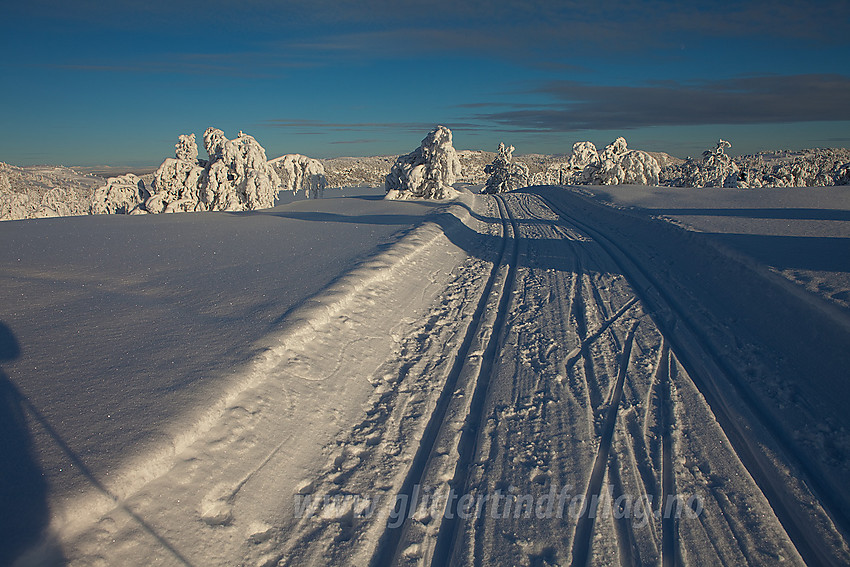 I løypenettet til Tisleidalen løypelag med Haugsjøfjellet (1090 moh) i bakgrunnen.