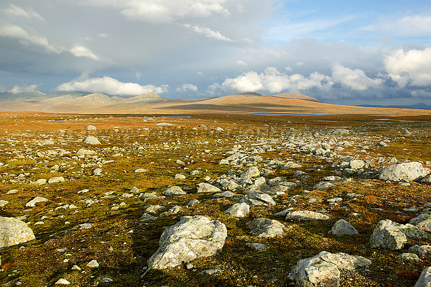 Stemningsfull kveld på Valdresflye med utsikt østover i retning bl.a. Gråhøe (1779 moh.) og Gluptindane.