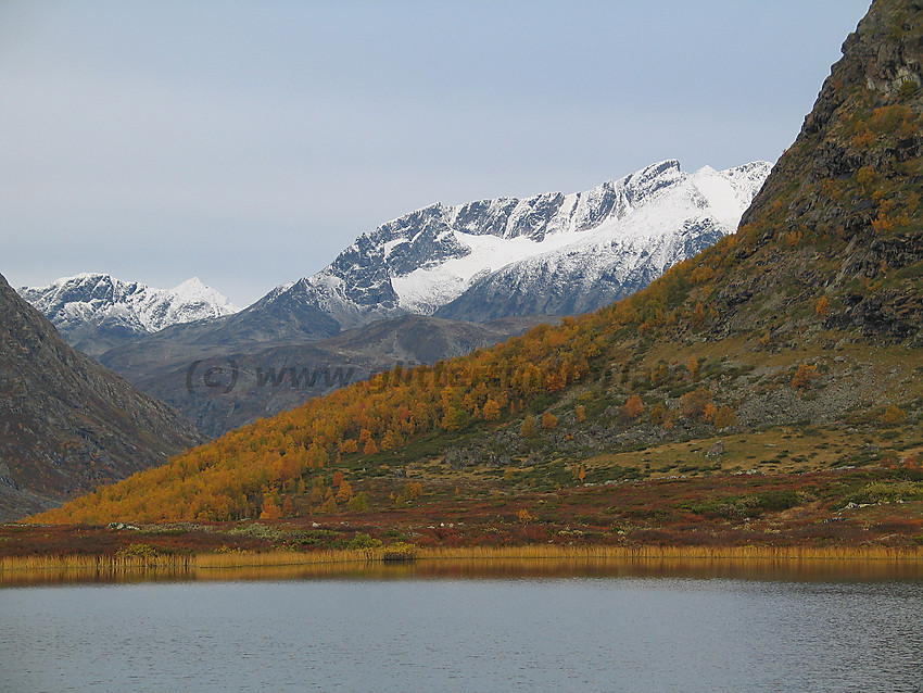 Høststemning like sørøst for Knutshøe med Surtningssuemassivet (Sørtoppen 2302 moh.) som dominerende i bakgrunnen.