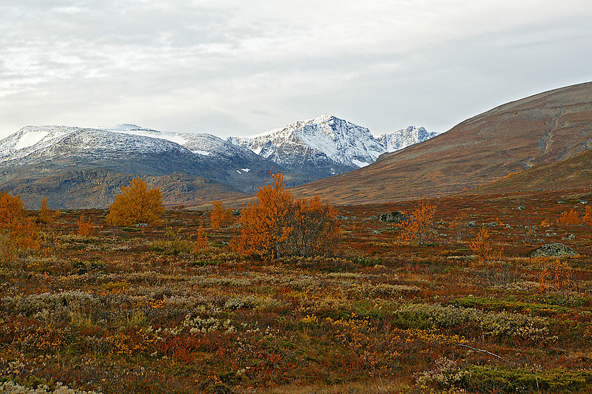 Høststemning like ved riksvei 51 mot Leirungsdalen, Rasletinden, Munken og Vestre Kalvehøgde.