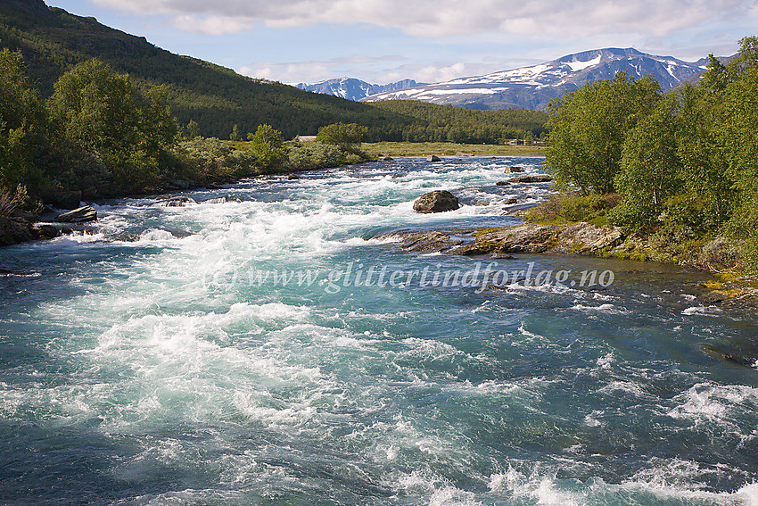 Sjoa fosser nedover Sjodalen mellom Øvre og Nedre Sjodalsvatnet. I bakgrunnen til høyre hever Høgdebrotet (2226 moh.) seg.