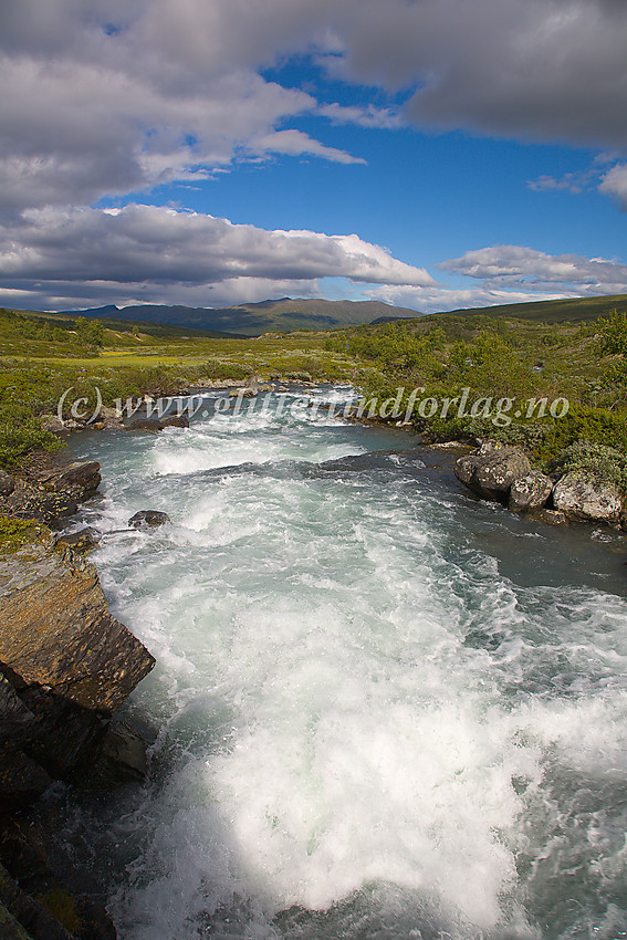 Utsikt nedover Russdalen med elva som dominerende element i bildet. Dyrtjønnhøe (1687 moh.) er høyeste punkt på Refjellet som ses i det fjerne. 