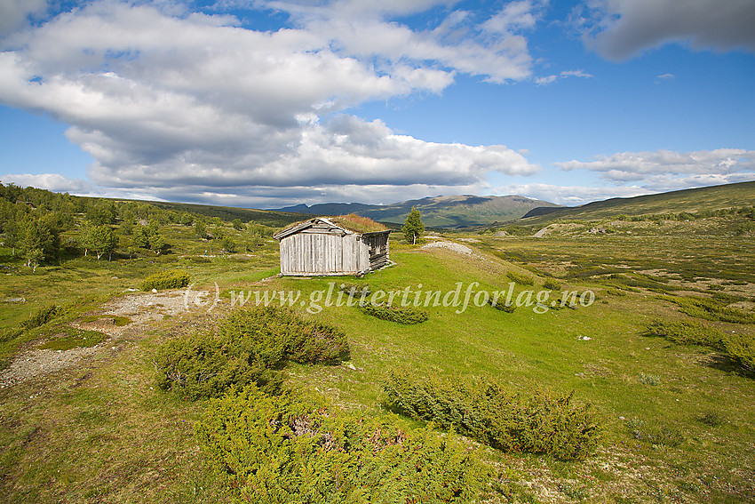 Saubue i Russdalen. I det fjerne Refjellet med Dyrtjønnhøe (1687 moh.) som høyeste topp.