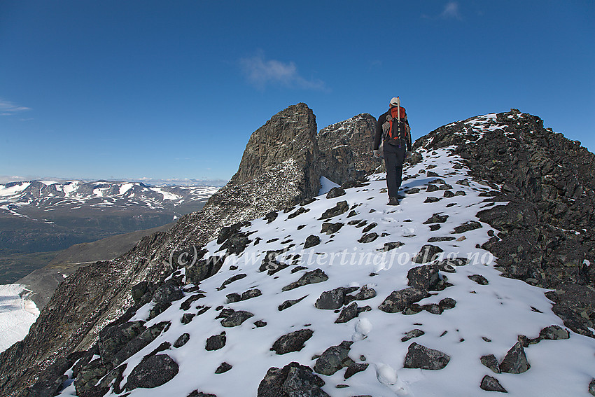 På vei nordover fjellryggen fra Skardstinden mot Storgrovhøe like sør for Nørdre Heimre Illåbreatinden (2170 moh.). Bakenfor denne følger Storgrovtinden (2229 moh.) og Bakarste Storgrovhøe (2259 moh.). Helt i bakgrunnen ses Hesbtreapiggane.