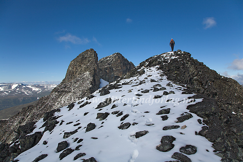 Personen på bildet står på toppen av Nørdre Heimre Illåbreatinden (2170 moh.).  Videre følger Storgrovtinden (2229 moh.) og Bakarste Storgrovhøe (2259 moh.)