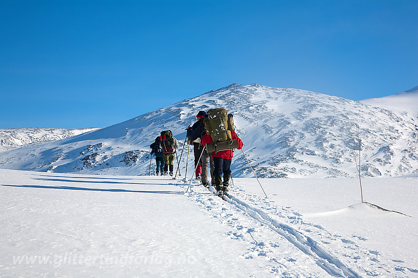 Skiløpere på vei over mot Skautflye etter endt oppstigning fra Visdalen.