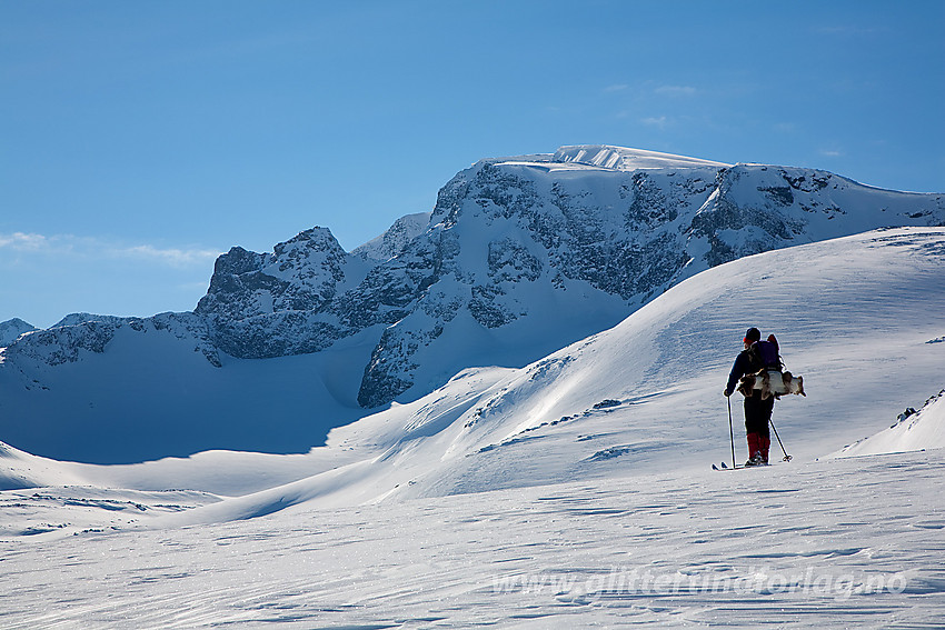 Skiløpere på Skautflye med Leirhøe (2330 moh) og Veobreahesten (2185 moh t.v.) i bakgrunnen.